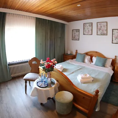 Hotel-restaurant Zum Burgkeller Hotel